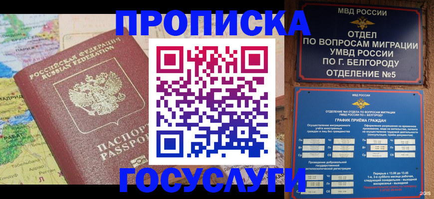 прописка регистрация в Малой Вишере